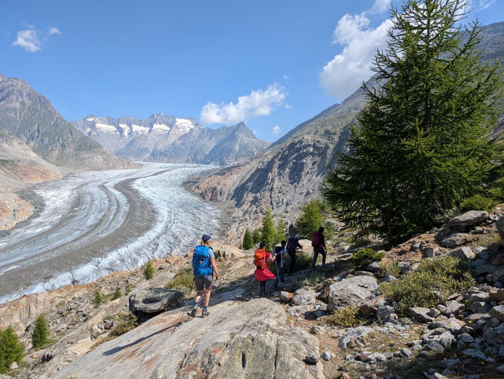 Auf dem Weg zum Aletschgletscher