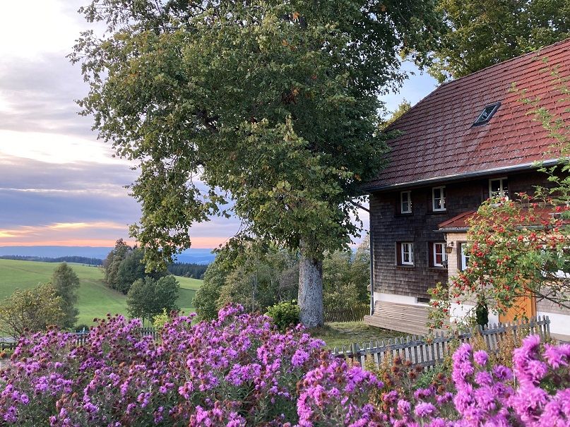 Bild unserer Schwarzwaldh�tte Ramshalde